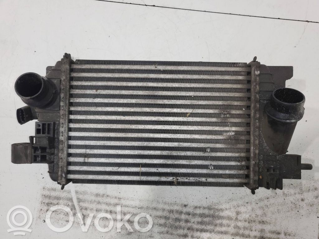 Opel Meriva B Aušinimo skysčio radiatorius 