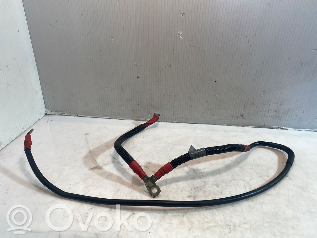Audi A4 S4 B8 8K Pliusinis laidas (akumuliatoriaus) 