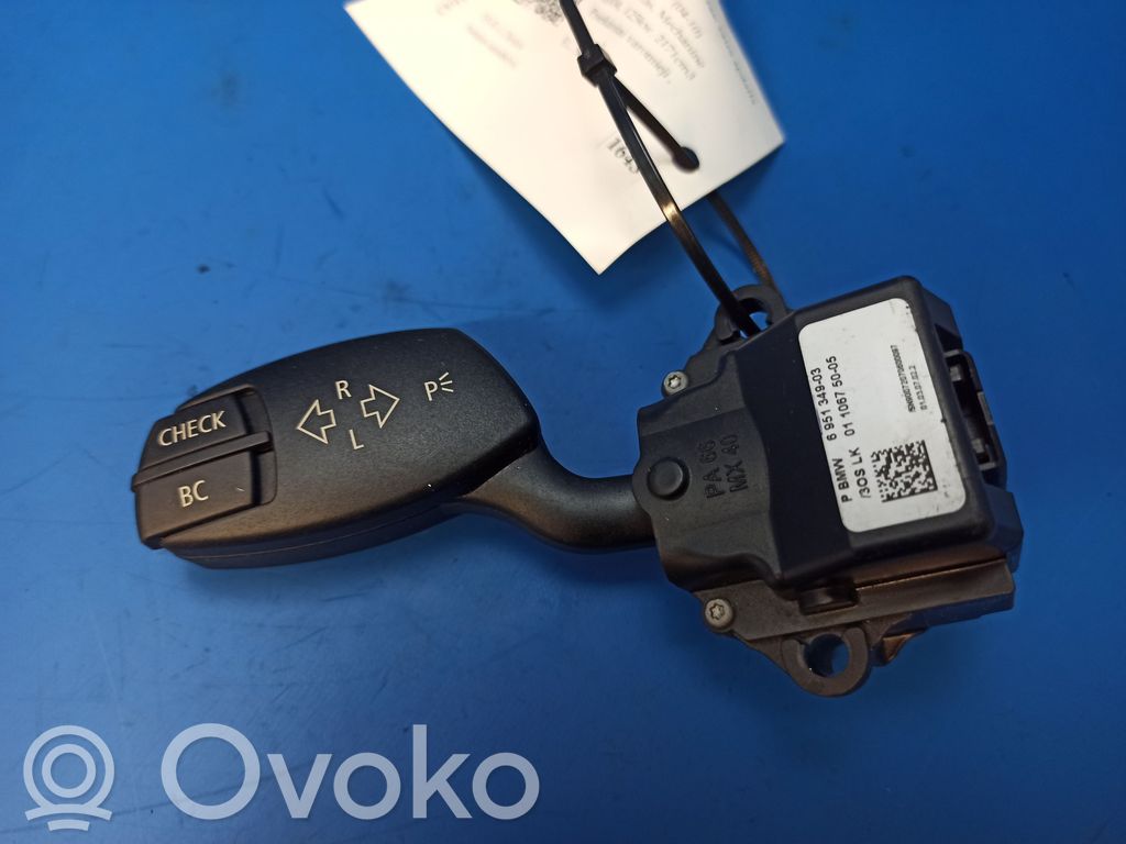 Indicator stalk   676050,6951349