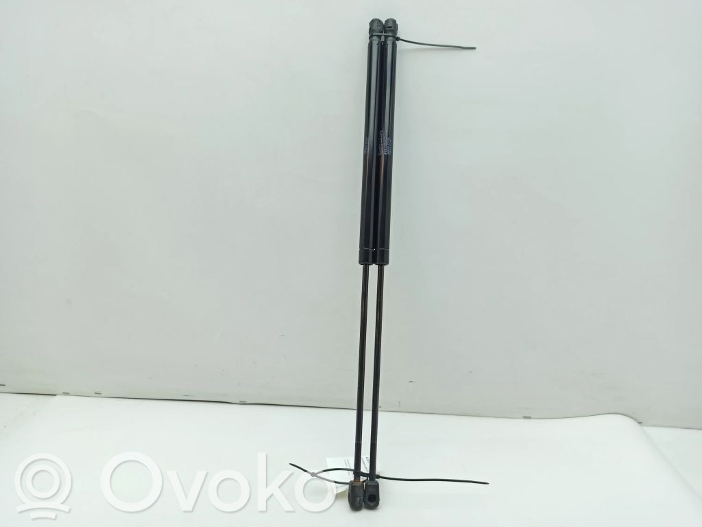 Microcar M.GO Tailgate/trunk strut/damper 