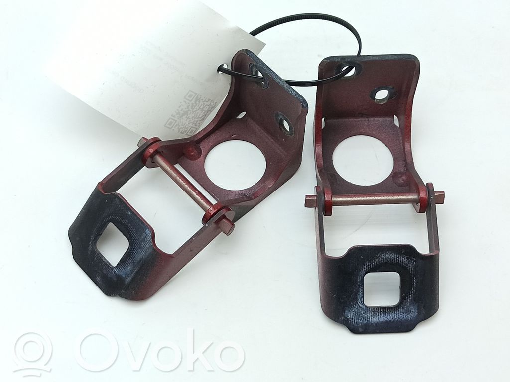 Tailgate/trunk/boot hinge