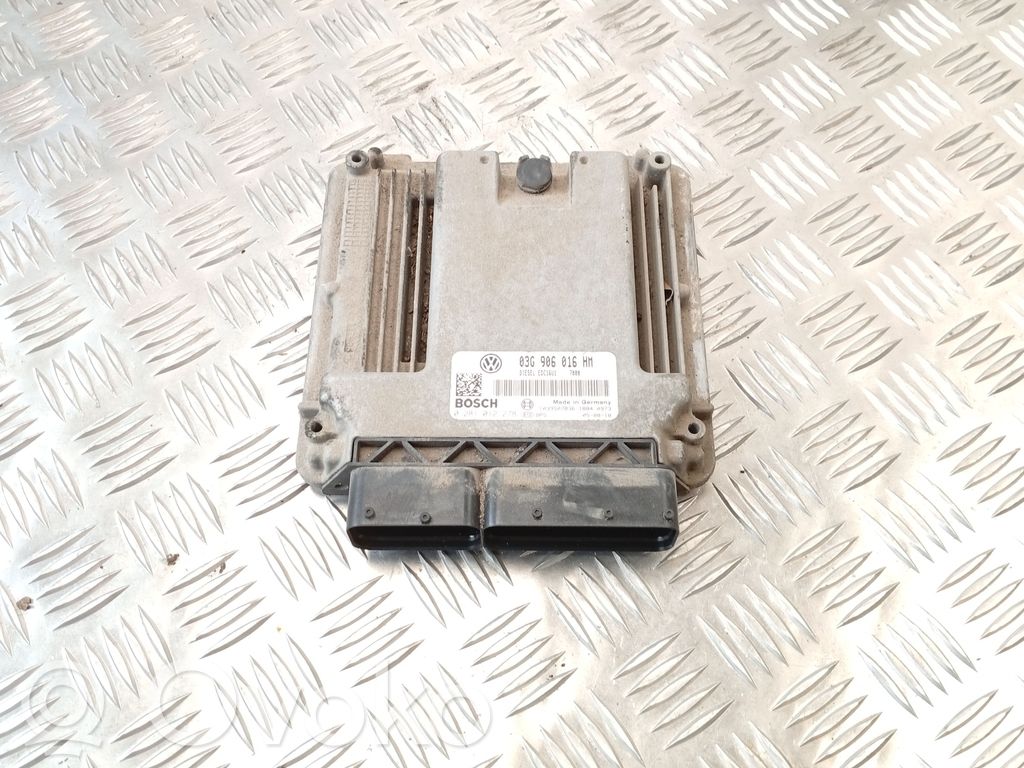 Seat Toledo III (5P) Engine control unit/module 