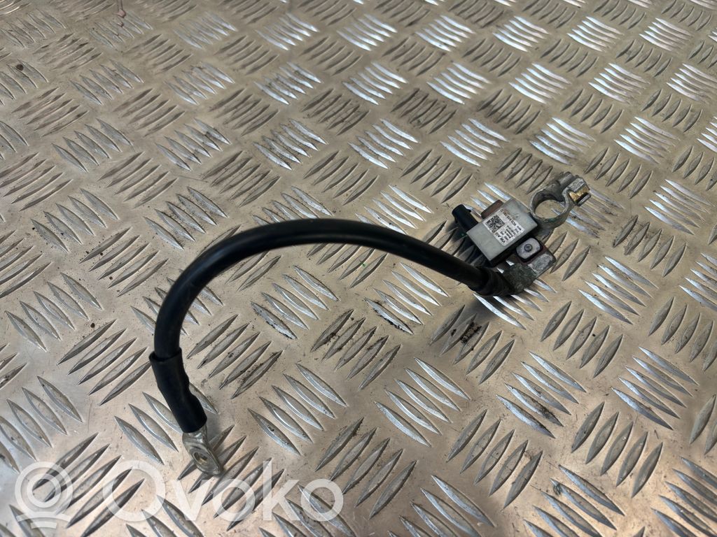Skoda Rapid (NH) Cable negativo de tierra (batería) 