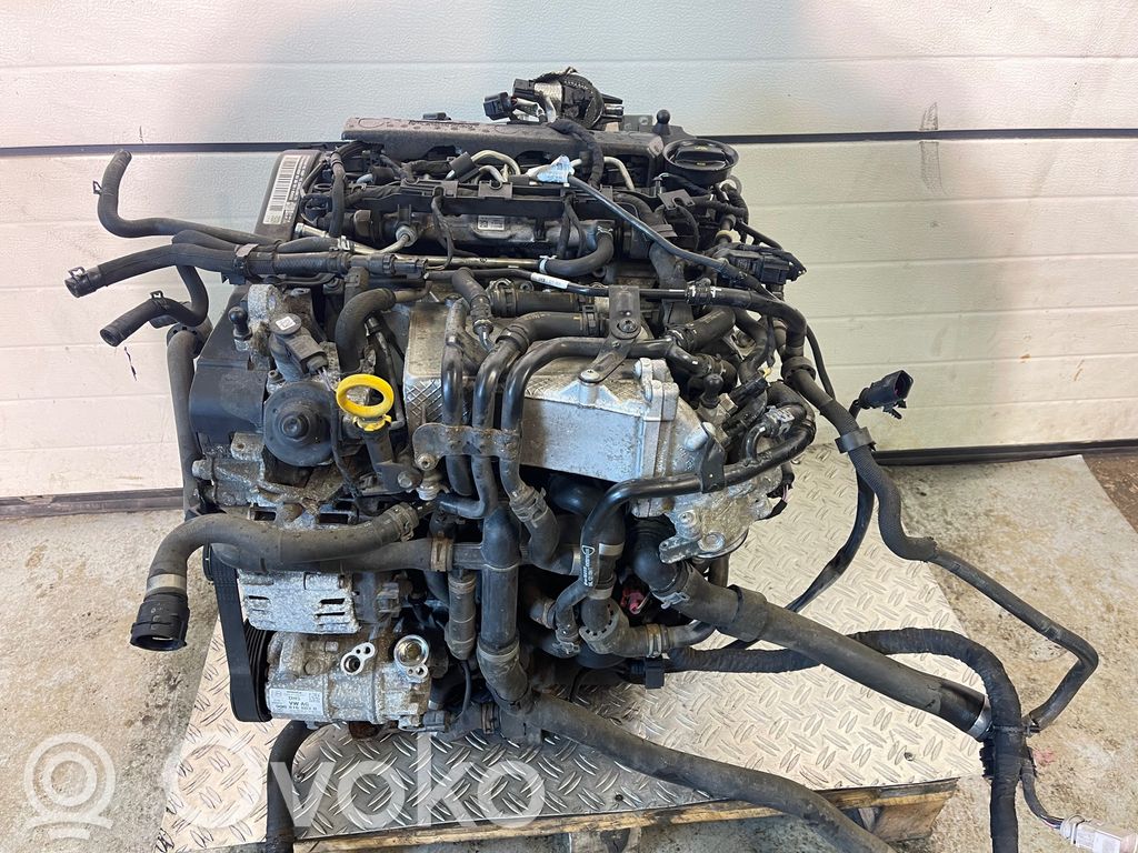 Motor   DCX