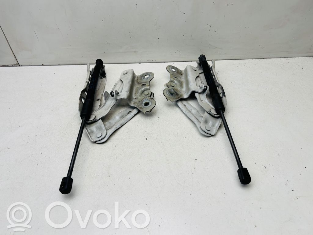 Skoda Superb B8 (3V) Cerniere del vano motore/cofano 