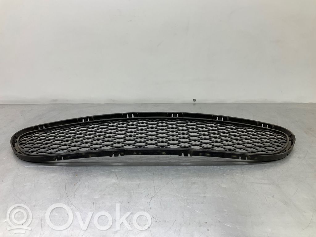 Front bumper lower grill   7198906