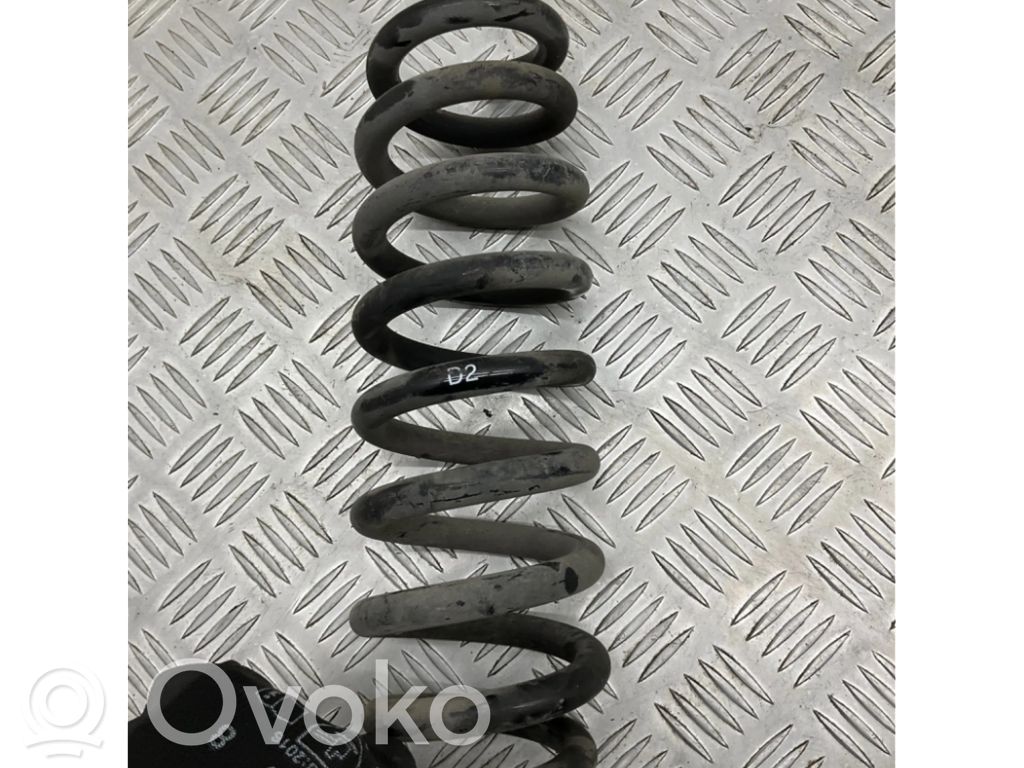 Rear coil spring