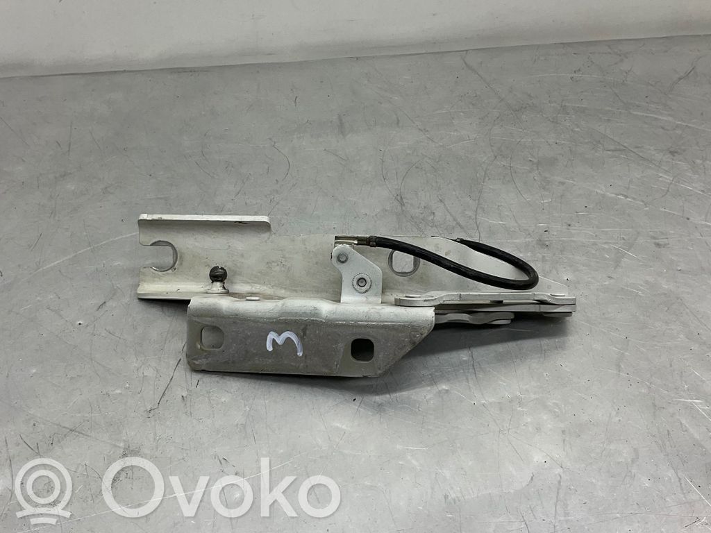BMW 5 E60 E61 Engine bonnet/hood hinges 
