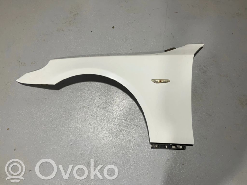 Fender