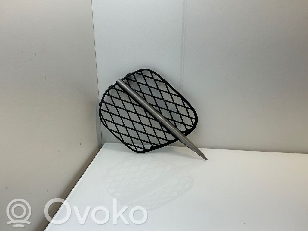 BMW X5 E70 Front bumper lower grill 