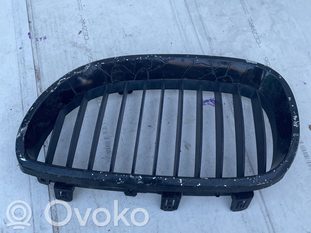 Front grill   10627110