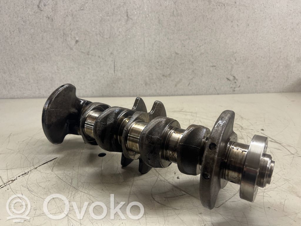 Seat Leon (5F) Crankshaft 