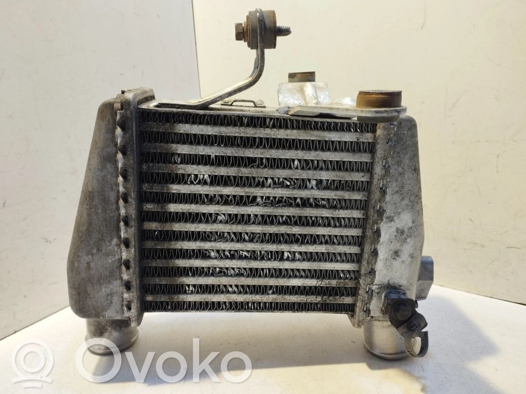 Hyundai Getz Oro nukreipėjas/ kanalas interkūlerio radiatoriaus 