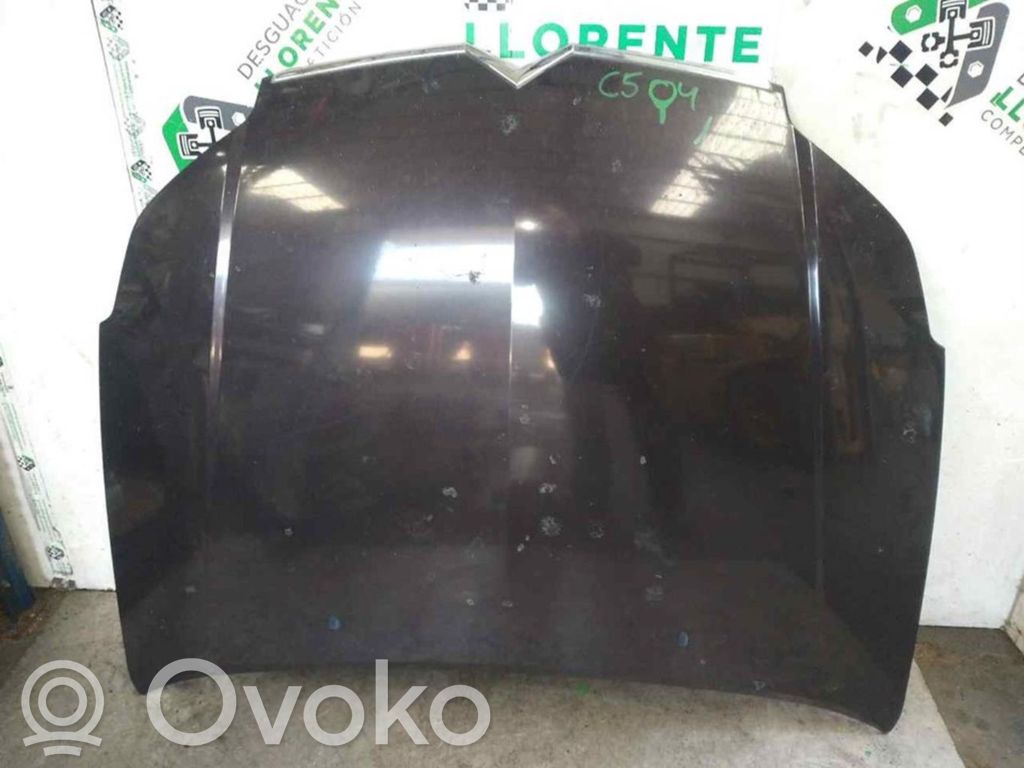 Motorhaube