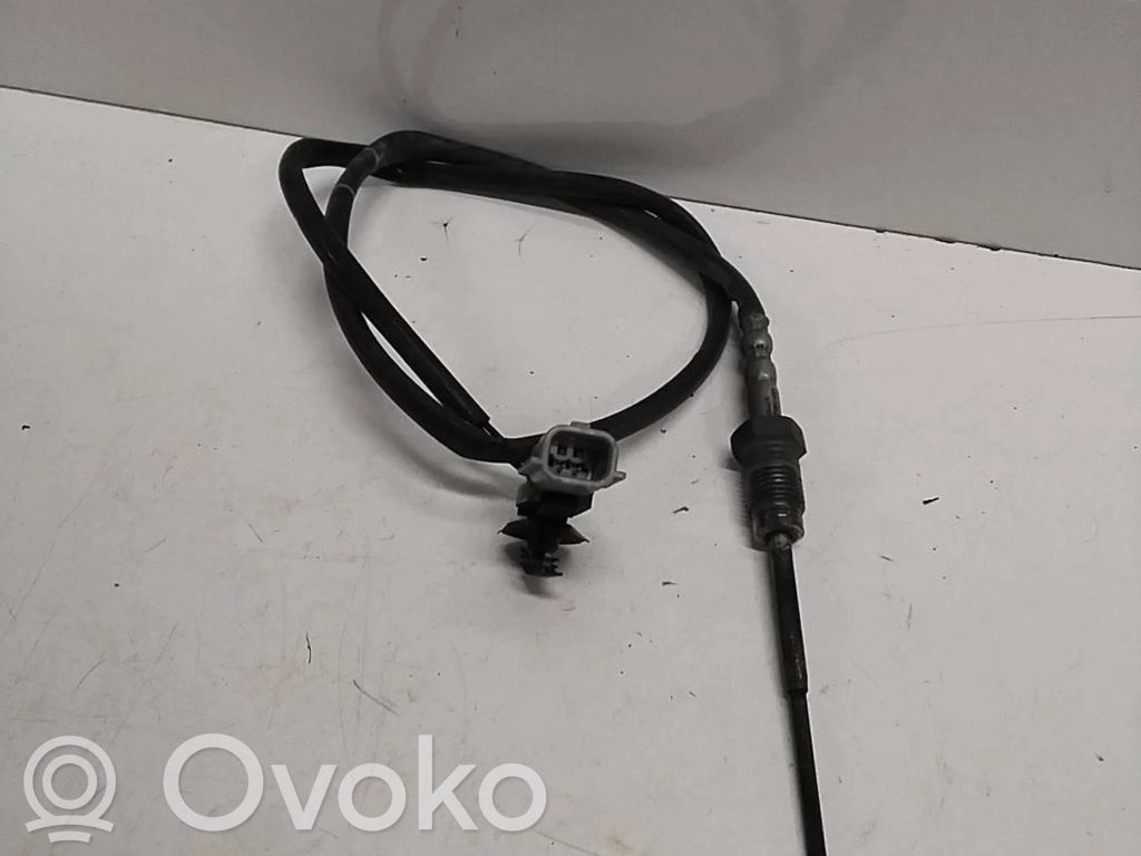 Renault Megane III Išmetamųjų dujų temperatūros daviklis 