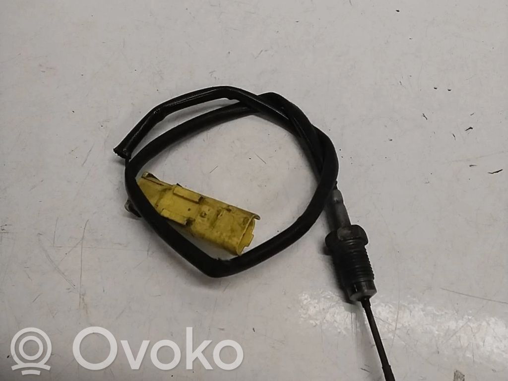 Citroen C6 Sensor de temperatura del escape 