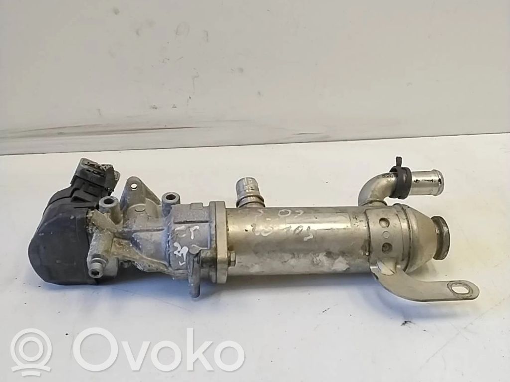 Citroen C5 Chłodnica spalin EGR 