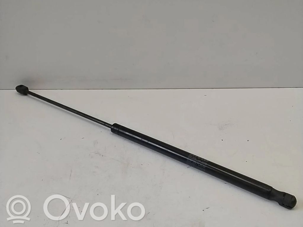 Microcar Ligier Tailgate/trunk strut/damper 