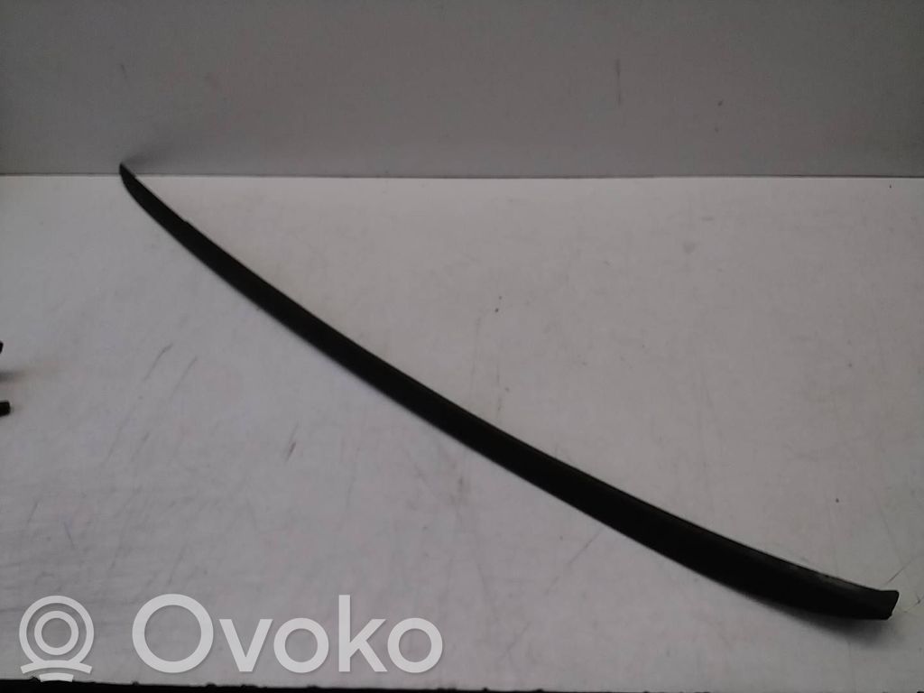 Ford Focus Windshield trim 