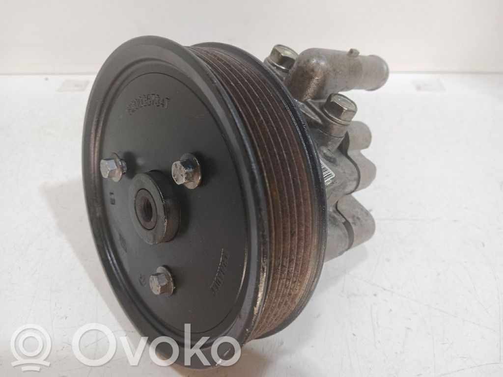 Power steering pump   491100100R