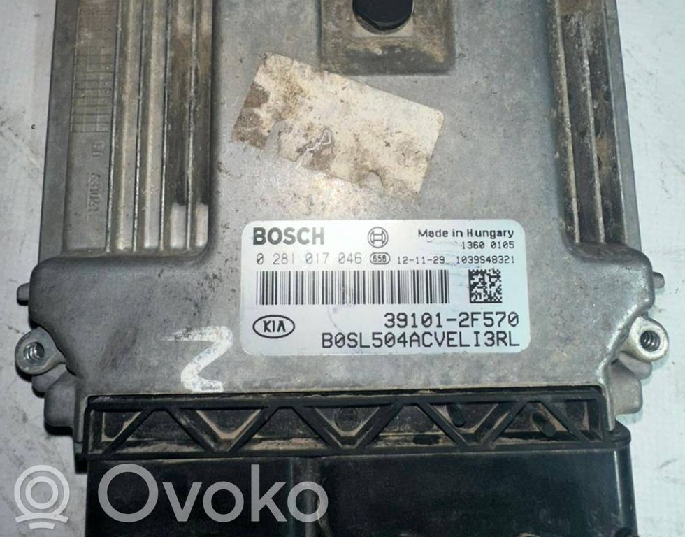 Engine control unit/module   0281017046,391012F570,1039S48321