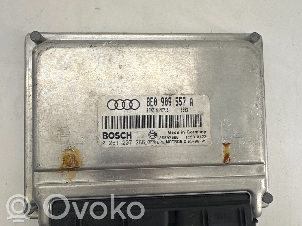 Audi A4 S4 B6 8E 8H Engine control unit/module 