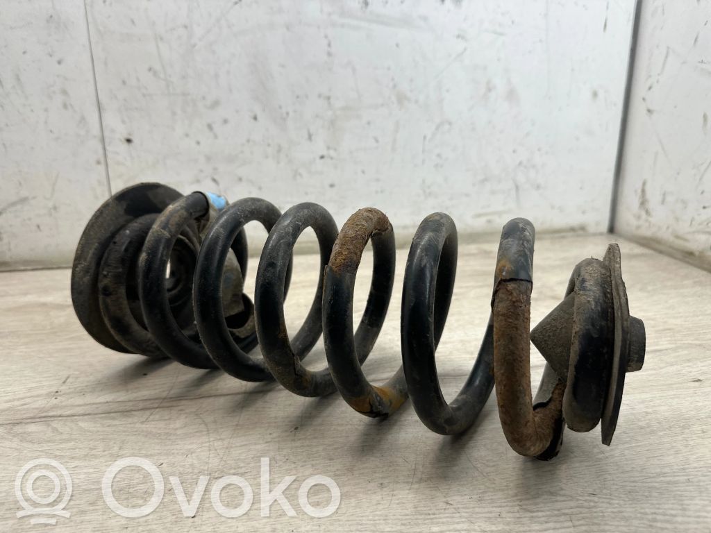 Rear coil spring   6750352