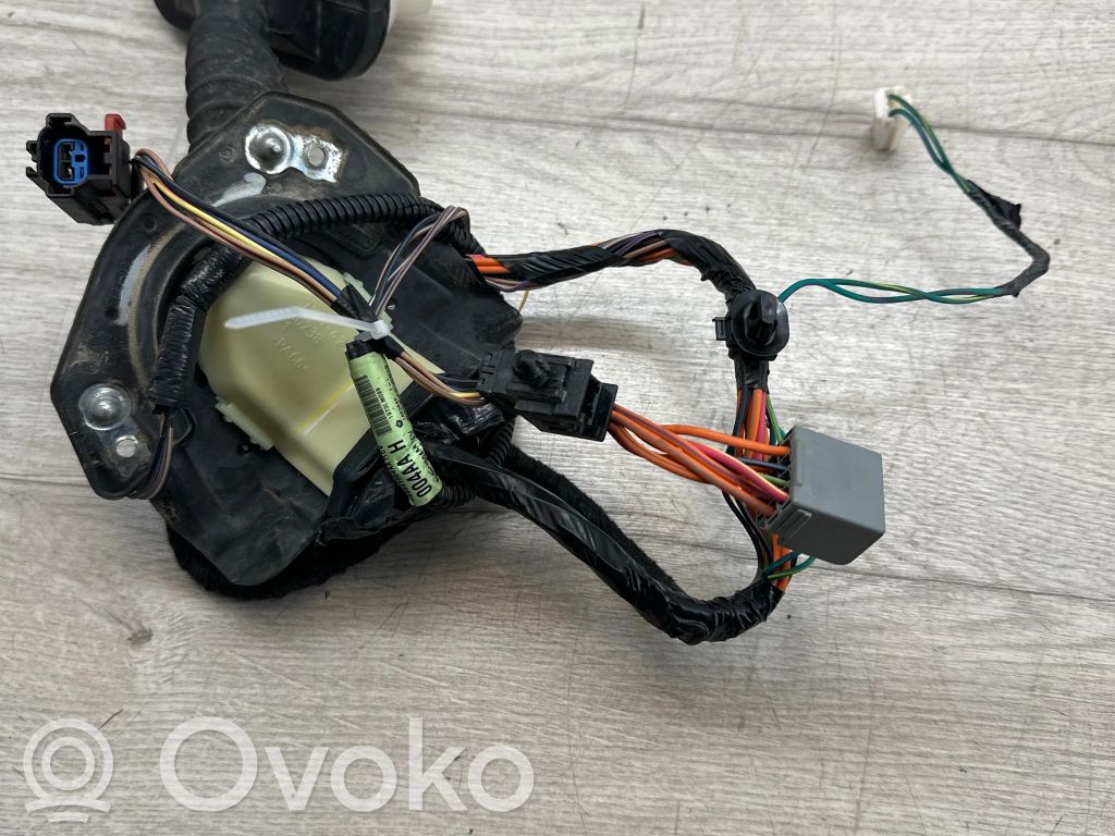 Jeep Compass Cableado de puerta delantera 
