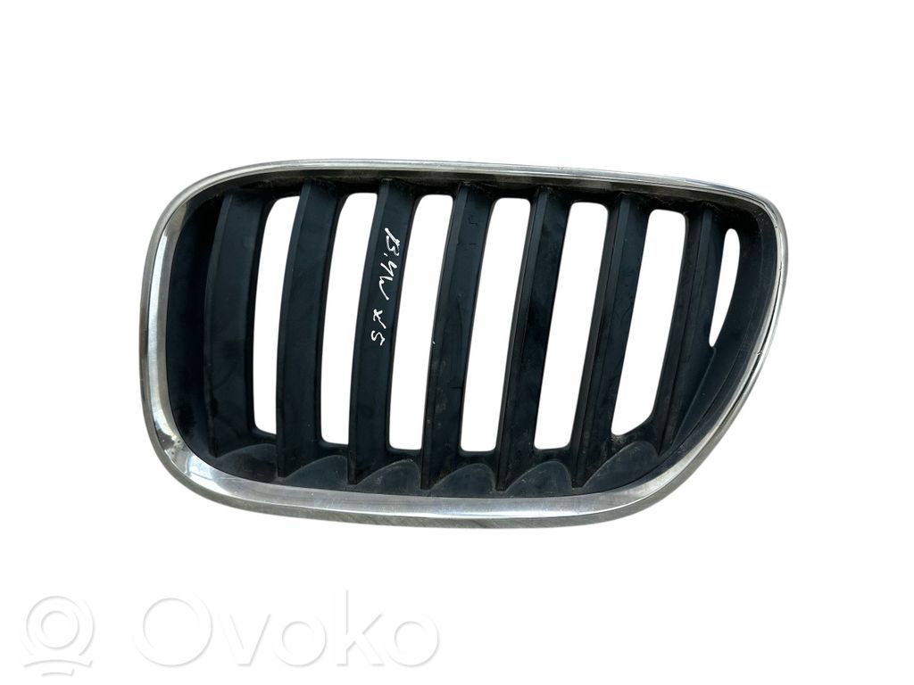 Front grill   10627110,L51137124815