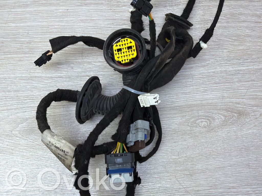 Citroen C5 Cableado de puerta trasera 