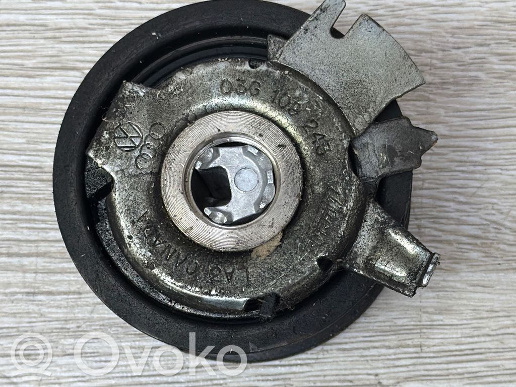 Volkswagen PASSAT B6 Napinacz paska alternatora 
