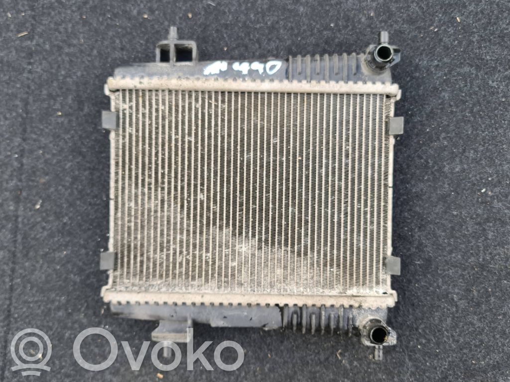 BMW 3 G20 G21 Radiator lichid răcire 