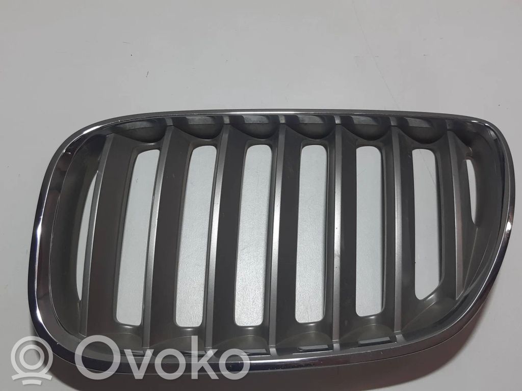 BMW X5 E53 Grotelės priekinės 