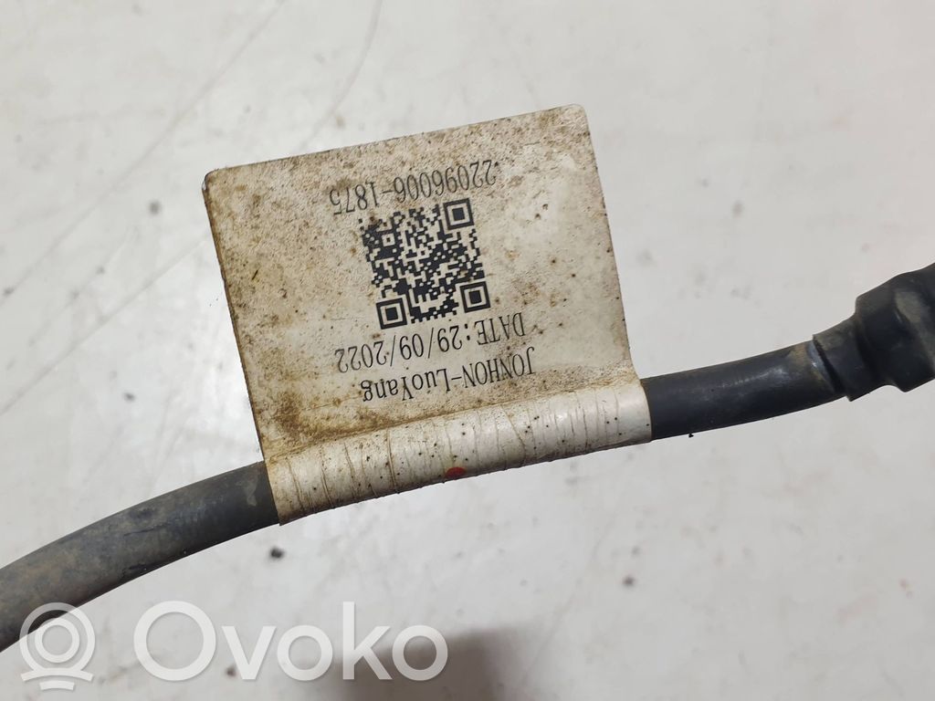 Otros cableados   240800159R,22096006