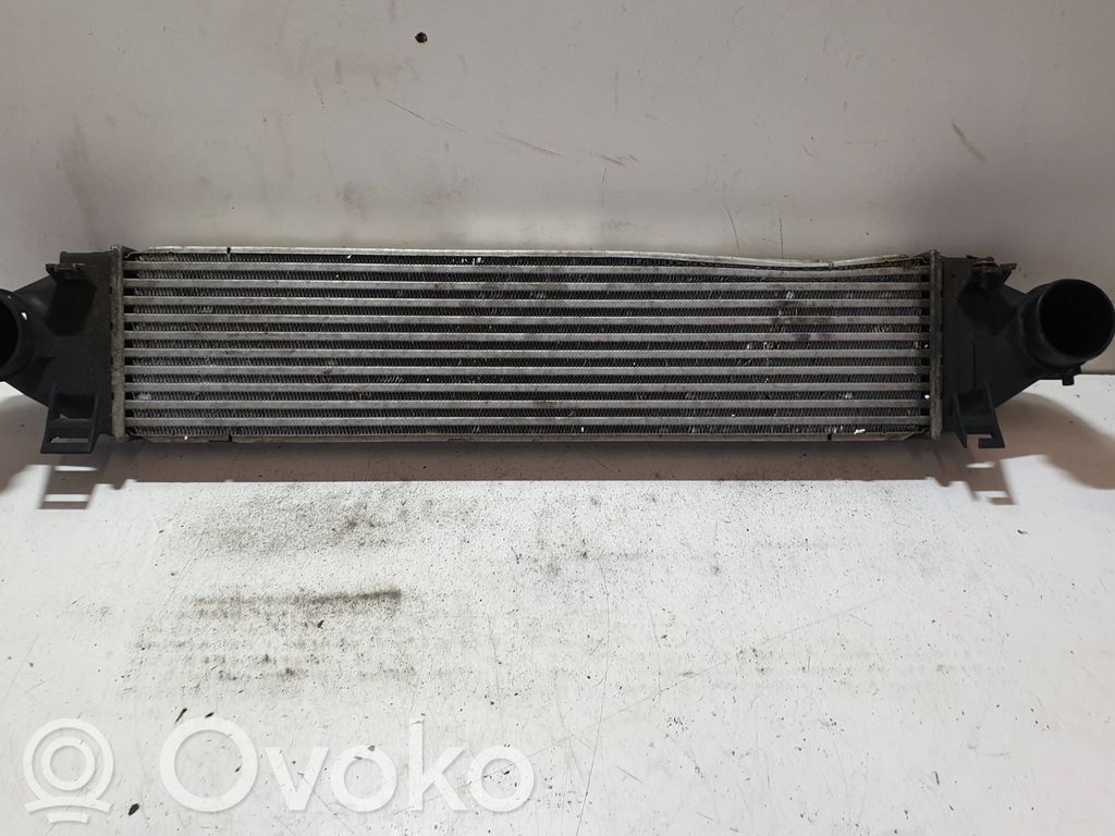 Interkūlerio radiatorius   31319424,M158050C,1100062570