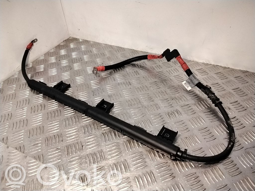 Cables (alternador)   7530721