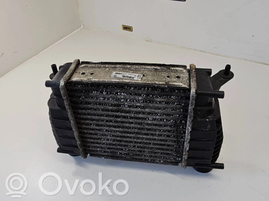 Renault Clio III Interkūlerio radiatorius 