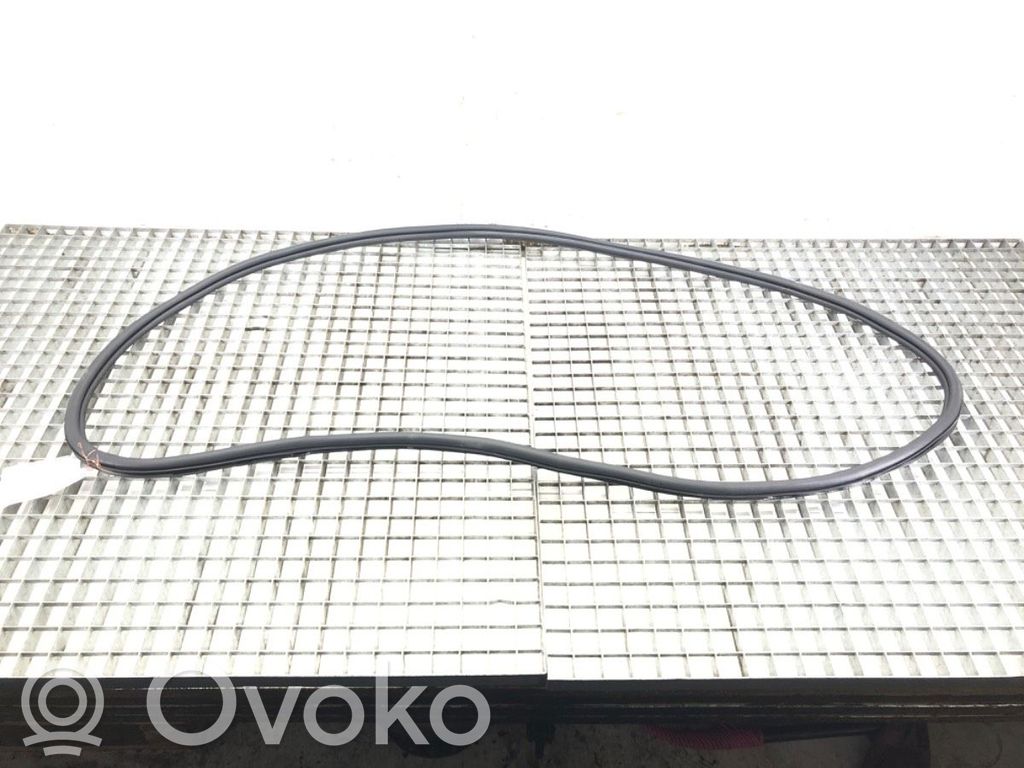 Volkswagen PASSAT B8 Guarnizione in gomma portiera anteriore (sulla carrozzeria)