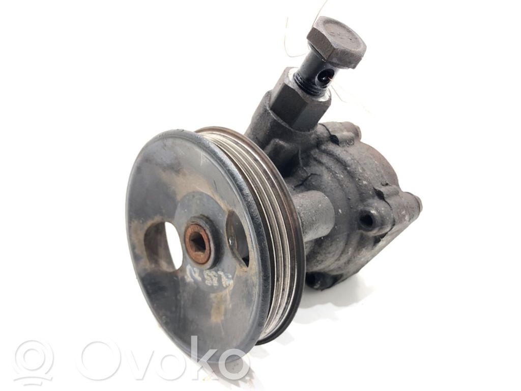 Hyundai Getz Power steering pump 