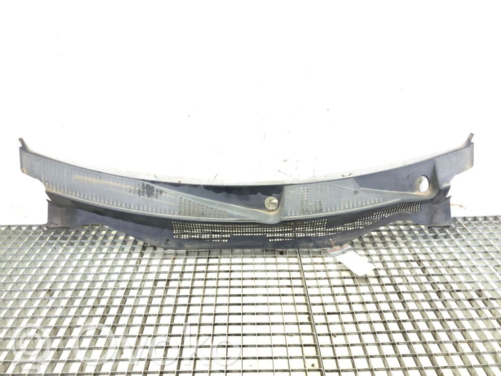 Moldura del limpia