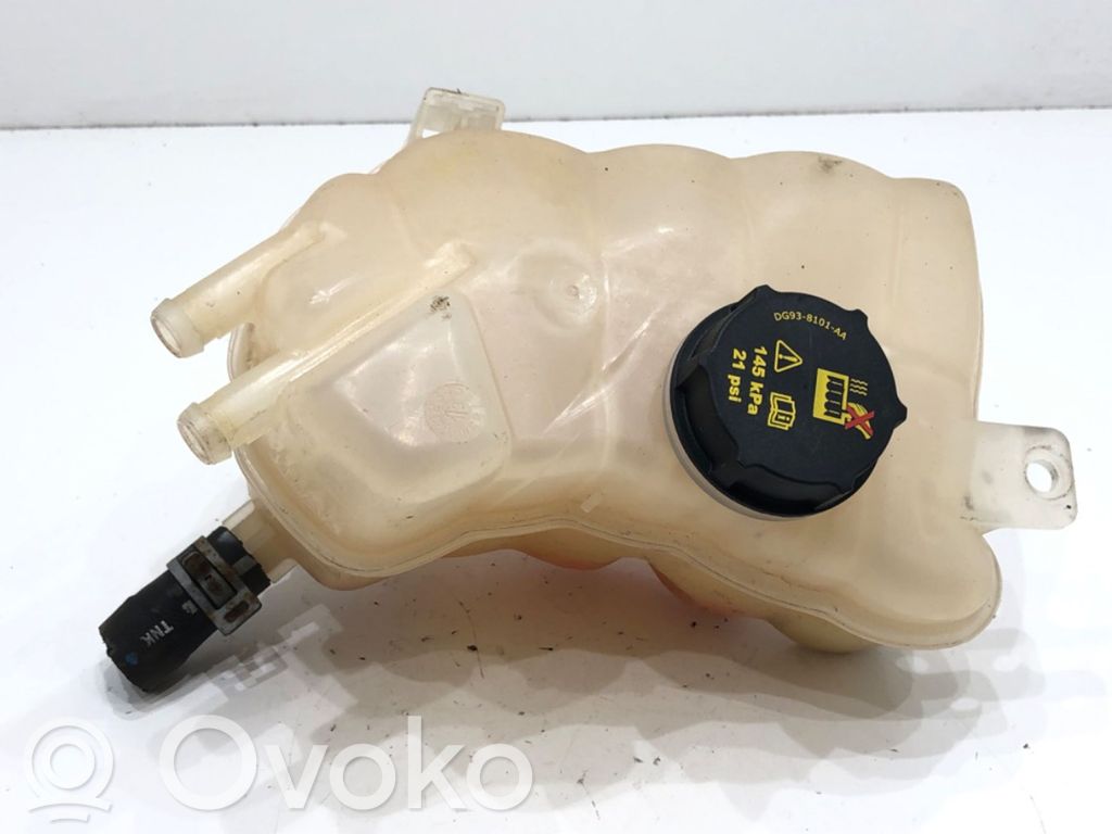Ford Mondeo MK V Serbatoio di compensazione del liquido refrigerante/vaschetta 