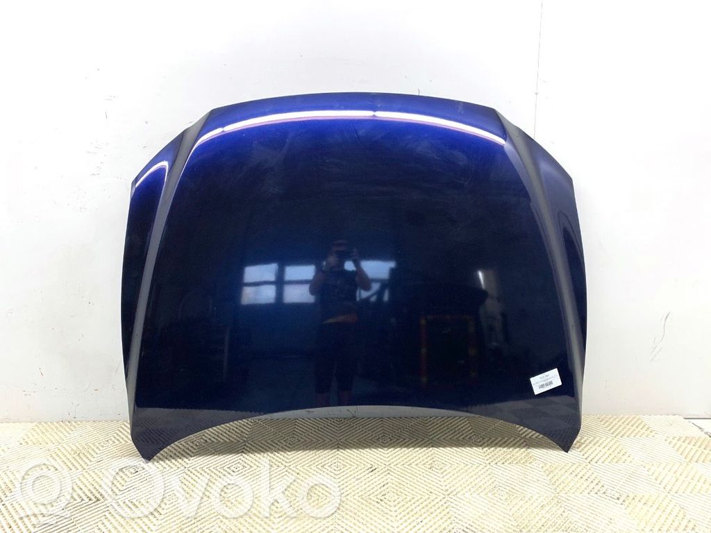 Motorhaube