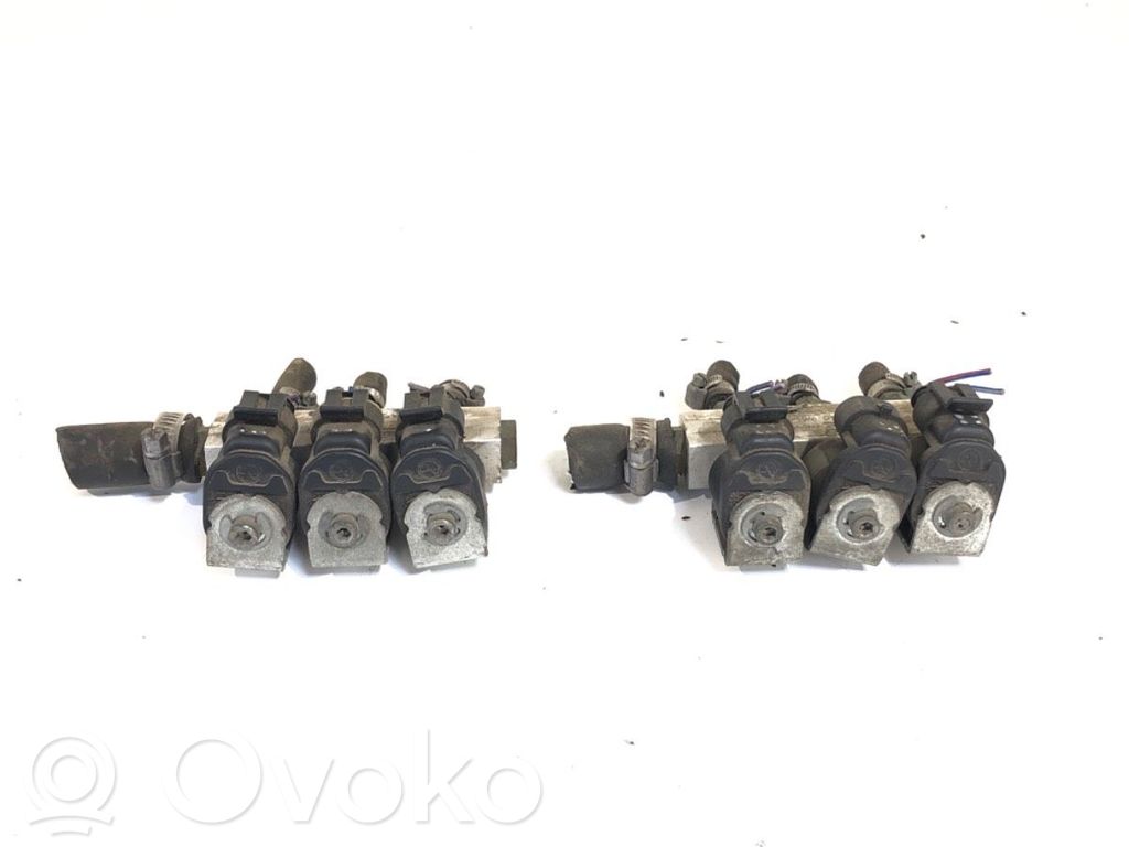 Inyector de gas GLP