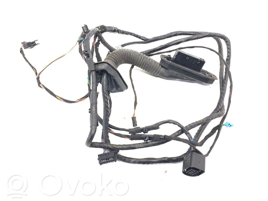 BMW X5 E70 Cableado de puerta trasera 