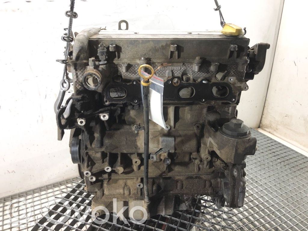 Opel Signum Motor 