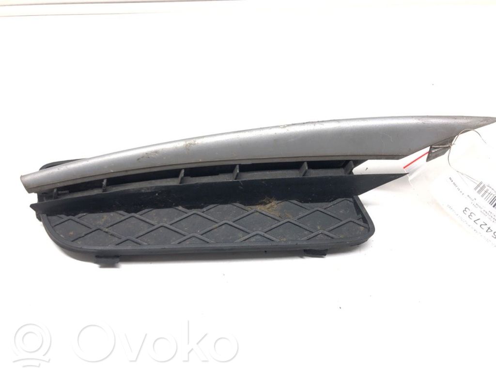 BMW X5 E70 Front bumper lower grill 