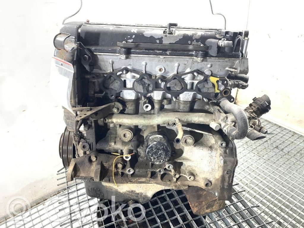 Motor   B20Z1