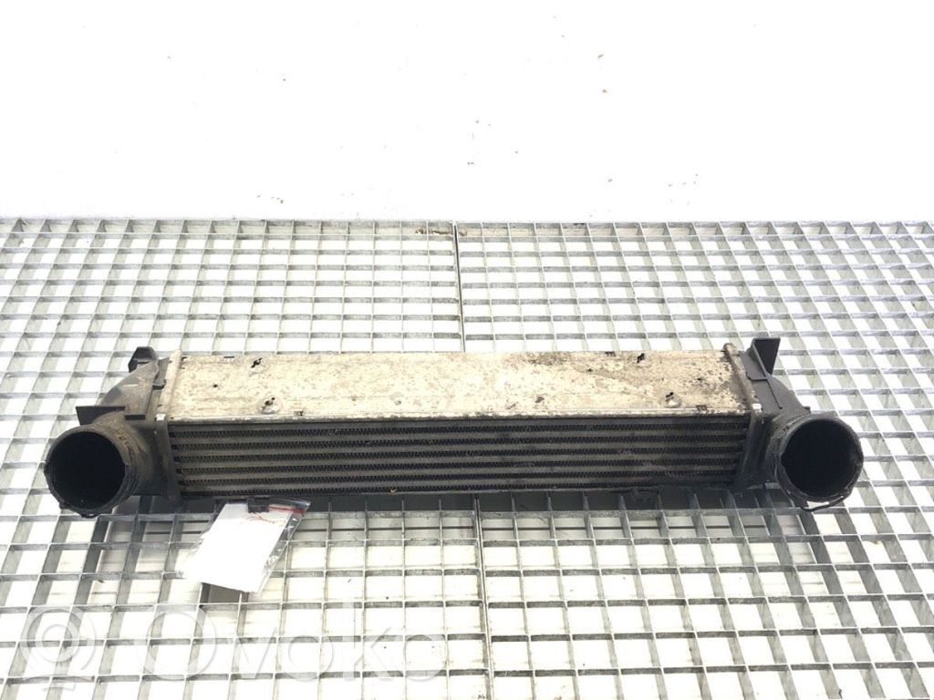 Intercooler radiator   7524916