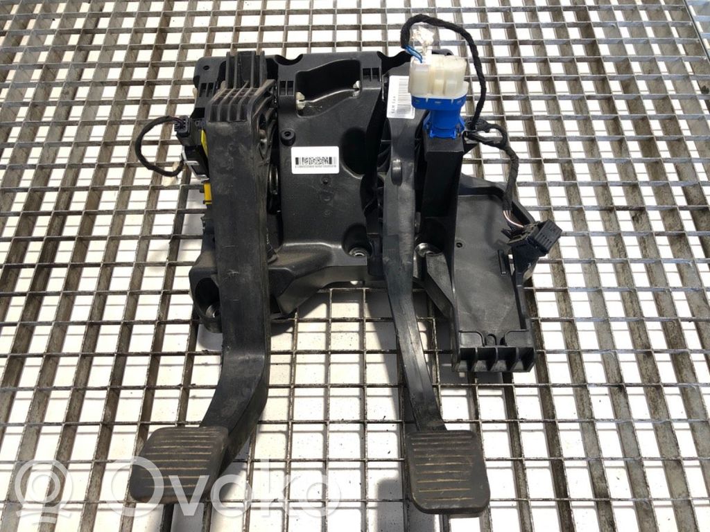 Assemblage pédale   01384922080