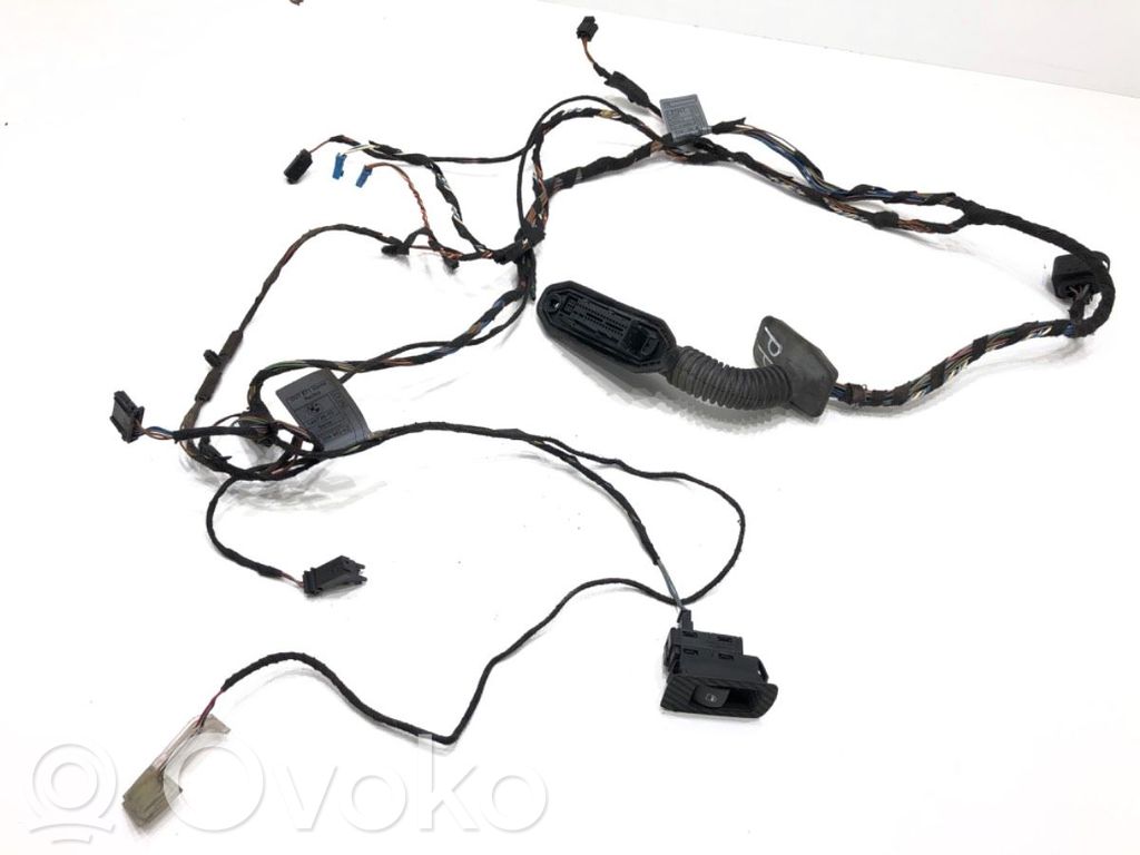 BMW X6 E71 Cableado de puerta delantera 